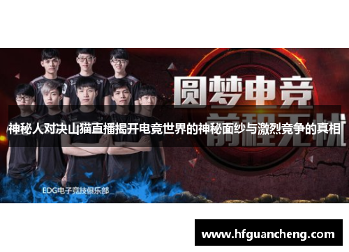 神秘人对决山猫直播揭开电竞世界的神秘面纱与激烈竞争的真相